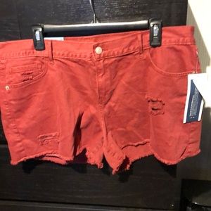 Distressed Rust short shorts